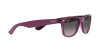 Ray-Ban New Wayfarer RB 2132 (6606M3)