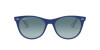 Ray-Ban Wayfarer ii RB 2185 (12993M)