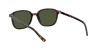 Ray-Ban Leonard RB 2193 (902/31)