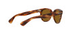 Ray-Ban Orion RB 2199 (954/33)