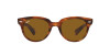 Ray-Ban Orion RB 2199 (954/33)