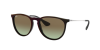 Ray-Ban Erika RB 4171 (6316E8)