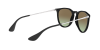 Ray-Ban Erika RB 4171 (6316E8)