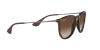 Ray-Ban Erika RB 4171 (865/13)