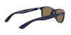 Ray-Ban Andy RB 4202 (615355)