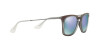 Ray-Ban RB 4221 (61684V)