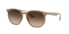 Ray-Ban RB 4306 (616613)