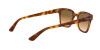 Ray-Ban RB 4323 (647551)