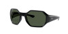 Ray-Ban RB 4337 (601/71)