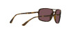 Ray-Ban RB 4375 (710/BC)