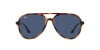 Ray-Ban RB 4376 (710/80)