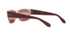 Ray-Ban RB 4388 (6648G8)