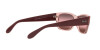 Ray-Ban RB 4388 (6648G8)