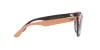 Ray-Ban Iris RB 4471 (66338H)