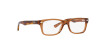 Ray-Ban RY 1531 (3923)