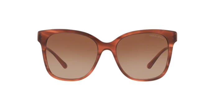 Occhiali da Sole Giorgio Armani AR 8074 (548813)