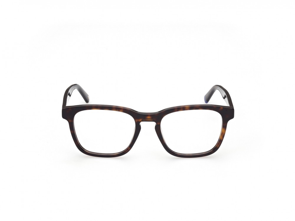 Eyeglasses Web WE5372 (052)