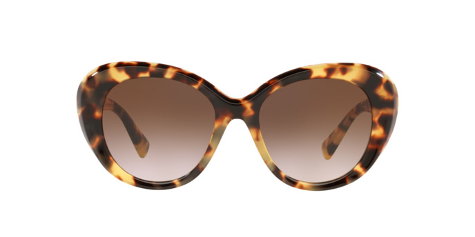 Sunglasses Valentino VA 4113 (503613)