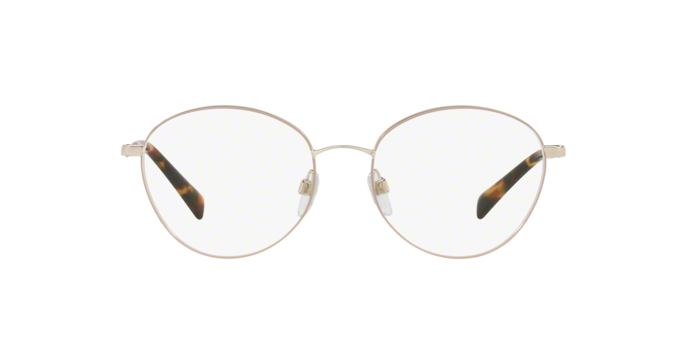 Eyeglasses Valentino VA 1003 (3014)