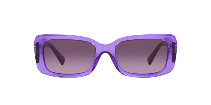 Sunglasses Valentino VA 4108 (52138H)