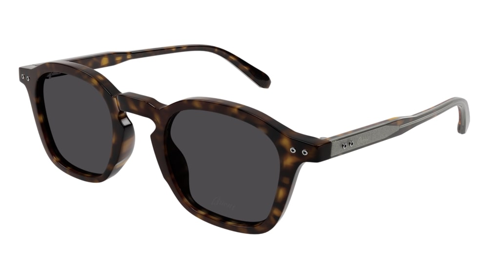 Sunglasses Brioni Contemporary Luxury BR0097S-001