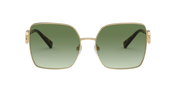 Sunglasses Valentino VA 2041 (30028E)