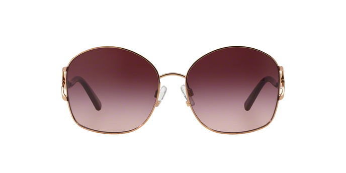 Occhiali da Sole Michael Kors Palm beach MK 1004B (10038H)